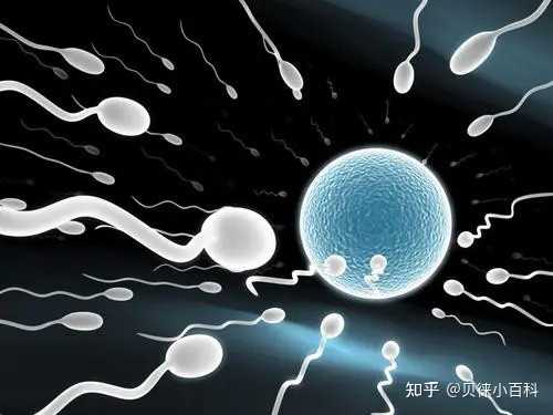 武汉一医院推阳康体检套餐官方回应,精子质量会影响三代试管的成功率吗？